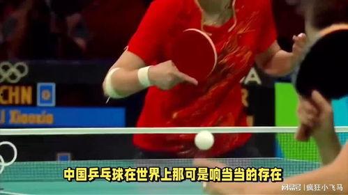 乒乓球比赛规则视频,视频解析带你全面了解