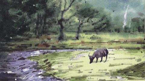 水彩风景画教程视频